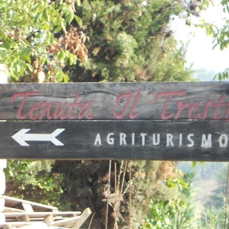 Tenuta Il Tresto Поджибонси Экстерьер фото