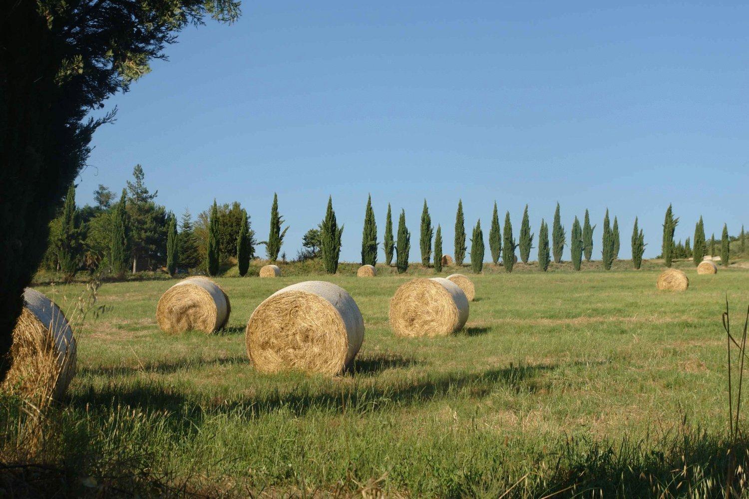 Tenuta Il Tresto Поджибонси Экстерьер фото